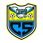 Carlos Stein logo