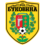 Bukovyna logo